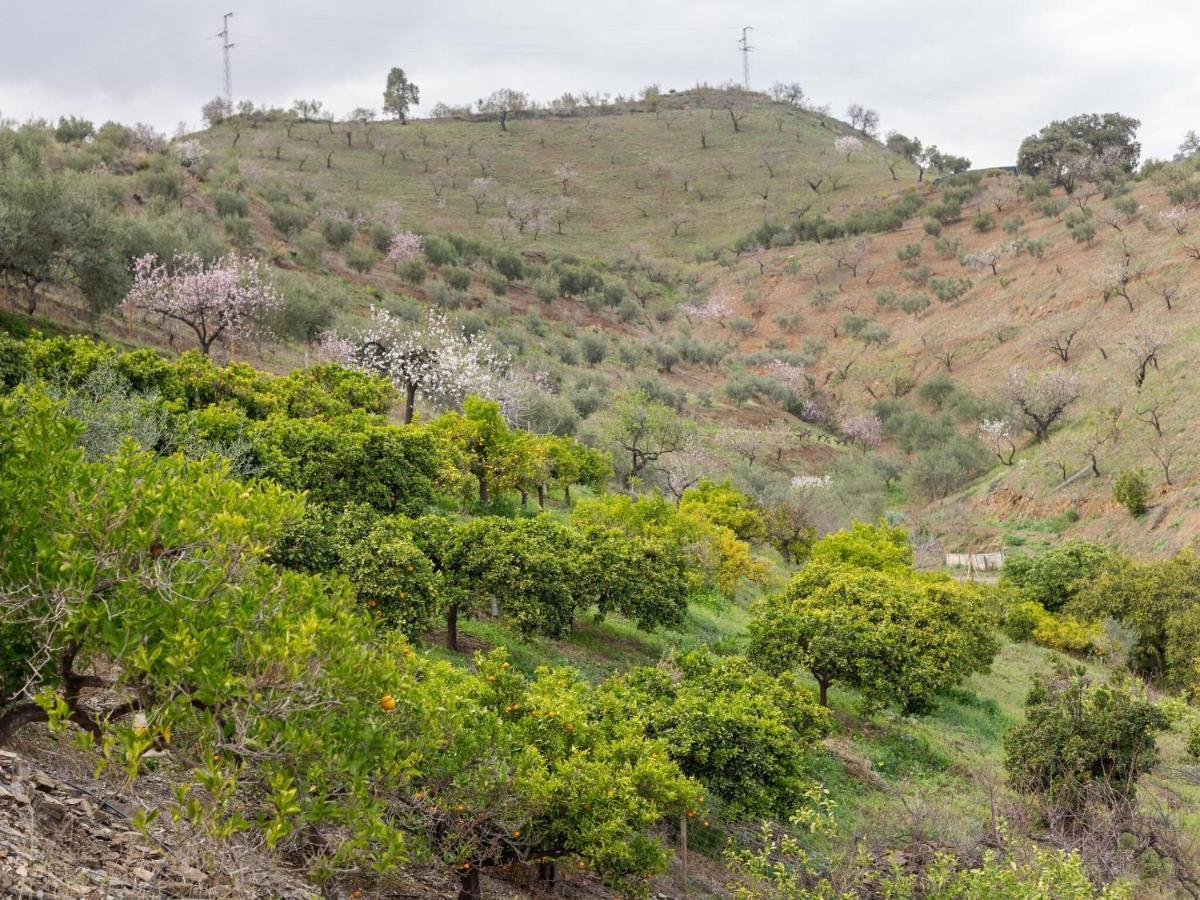 Alojamiento Rural Casa La Era Almogía Buitenkant foto